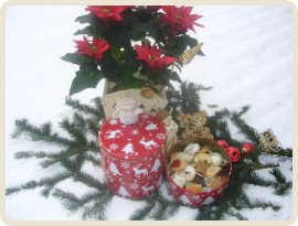 selbstgemachte Weihnachtskekse